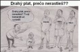 /album/fotogaleria-vtipy-citaty/plat-jpg/