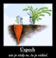 /album/fotogaleria-vtipy-citaty/a545722-371137362949413-1996005802-n-jpg/