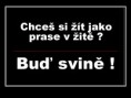 /album/fotogaleria-vtipy-citaty/snimek7-jpg/
