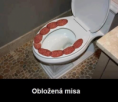 /album/fotogaleria-vtipy-citaty/a530290-209816272501831-2029753646-n-png/